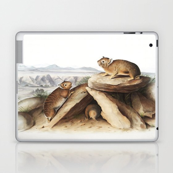 Little Chief Hare  from the viviparous quadrupeds of North America  illustrated by John Woodhouse Audubon Laptop & iPad Skin