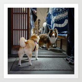 Shiba Inu Dog in Kyoto, Japan Art Print