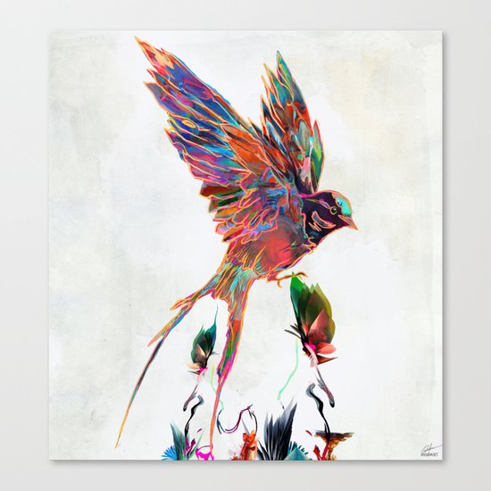 Aurical Canvas Print