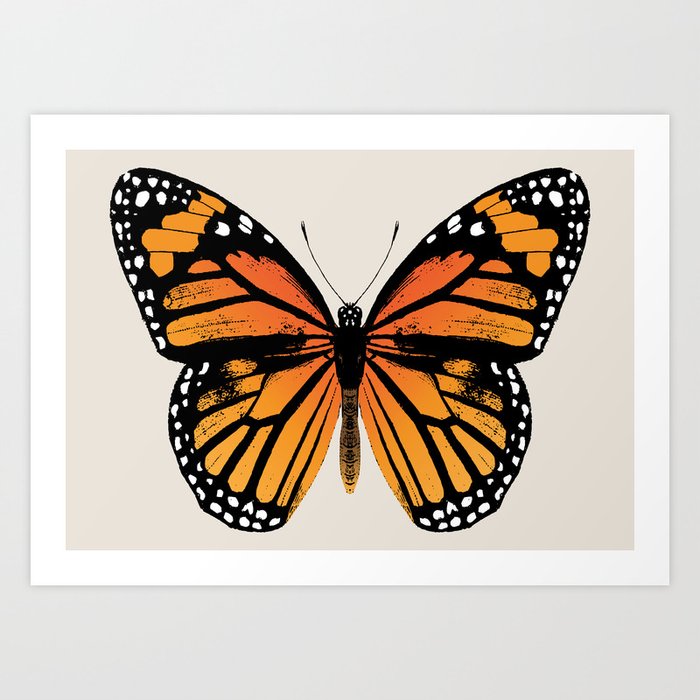 Monarch Butterfly | Vintage Butterfly | Art Print by at Heart | Society6