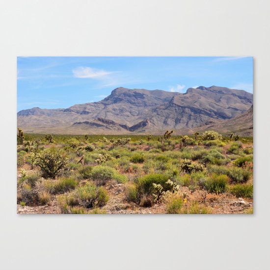 Painted Desert - I Canvas Print