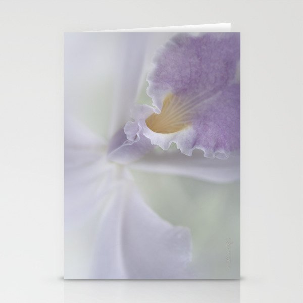 Beauty in a Whisper Stationery Cards