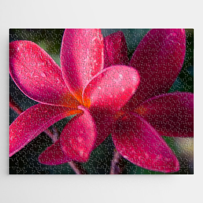 Plumeria Pink Pua Melia ke Aloha Maui Jigsaw Puzzle