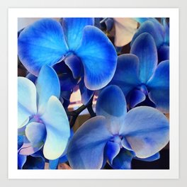 Breathtaking Blue And Aqua Orchid Flowers Art Photo Art Print