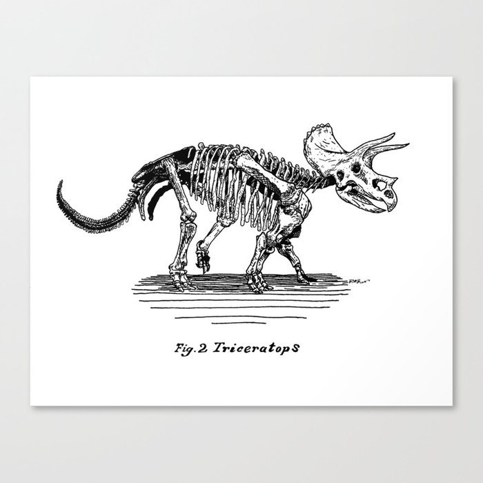 Figure Two: Triceratops Canvas Print