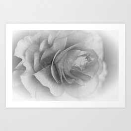 Black and white big rose Art Print