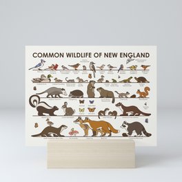 Common Wildlife of New England Mini Art Print