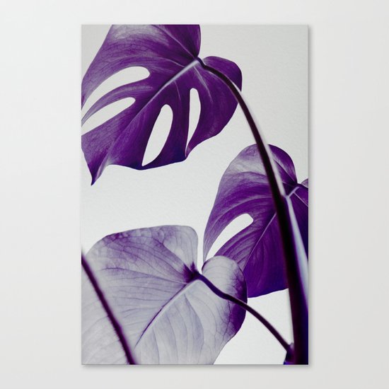 botanical vibes III Canvas Print