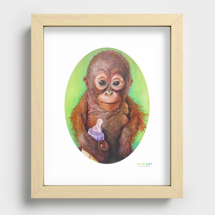 Budi the Rescued Baby Orangutan Recessed Framed Print