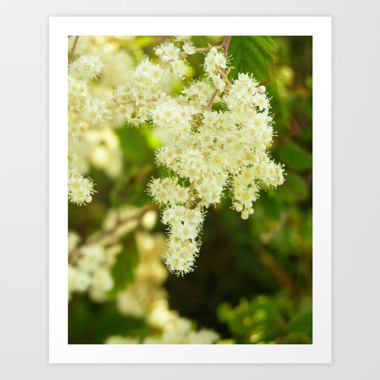 California Coast Floral IV Art Print