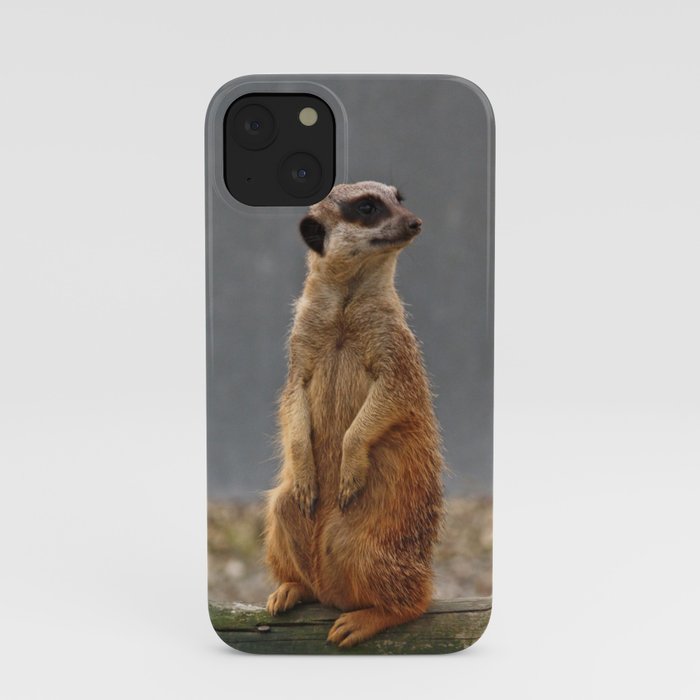 Meerkat No.1 iPhone Case