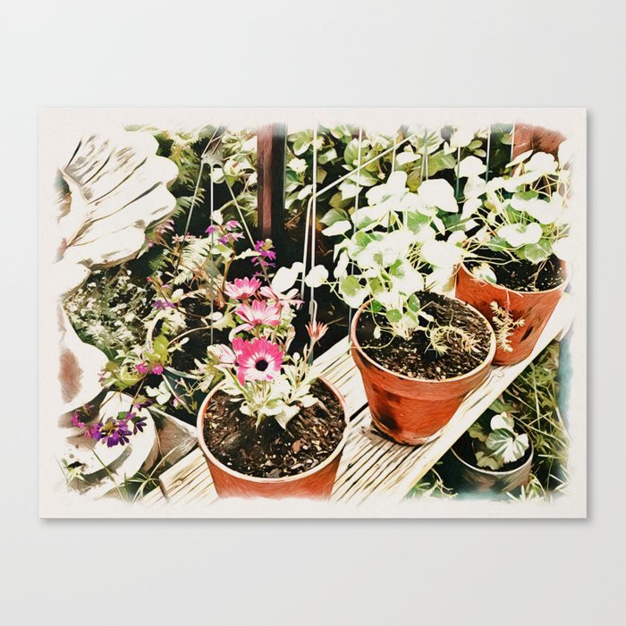 Potted Plants -Vintage Garden series Canvas Print