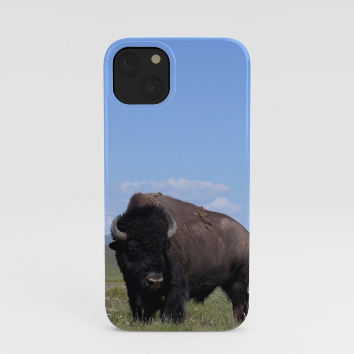 King of the Plains iPhone Case
