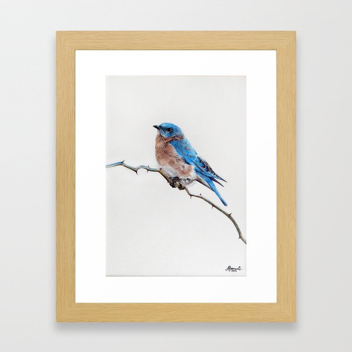 Little Bird Framed Art Print