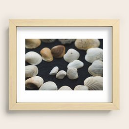 Sea Shell Swirl Recessed Framed Print