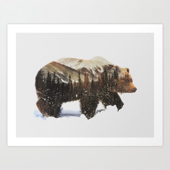 Arctic Grizzly Bear Art Print