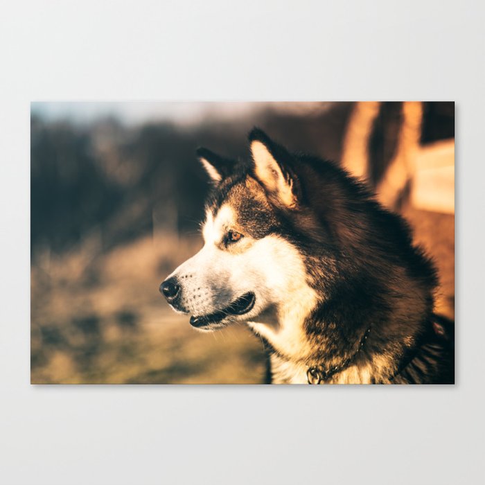 The Faithful Companion Canvas Print