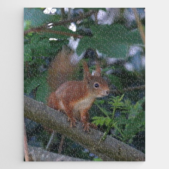 Baby squirrel in a tree Jigsaw Puzzle