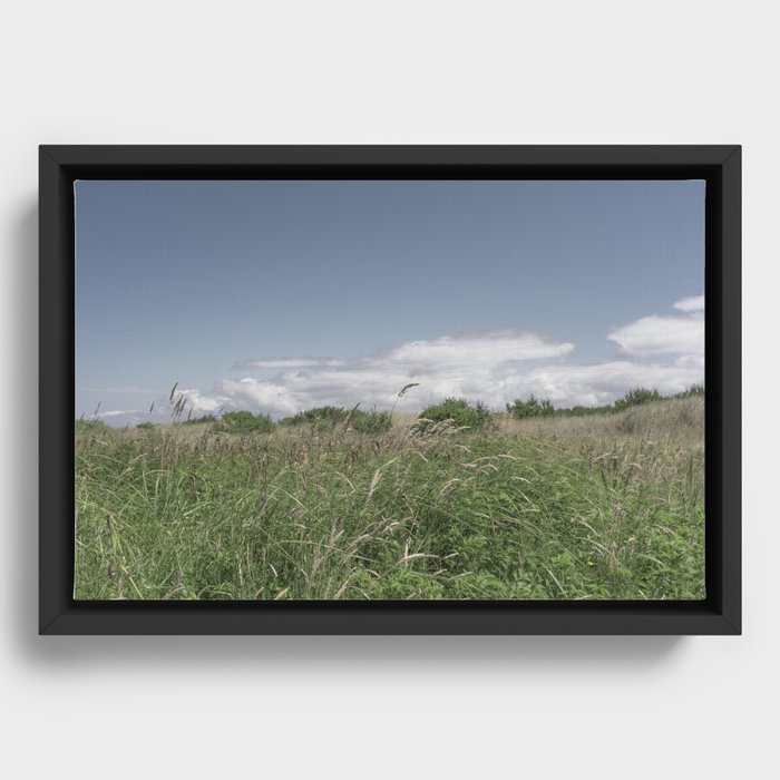 Framed Canvas