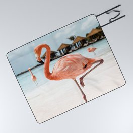 Pink Flamingo Beach Summer Photo | Aruba Tropical Island Art Print | Caribbean Travel Photography Picnic Blanket