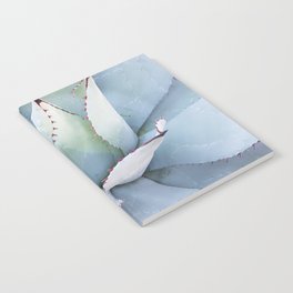 Mexico Photography - The Beautiful Agave Plant Notebook