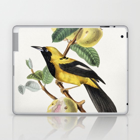 Jacamar Bird Laptop & iPad Skin