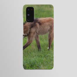 Argentina Photography - A Beautiful Maned Wolf Walking On A Field Of Grass Android Case