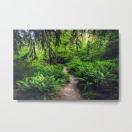 Rainforest Trail Metal Print