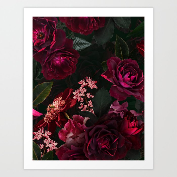 Vintage & Shabby Chic - Night Botanical Flower Roses Garden Art Print