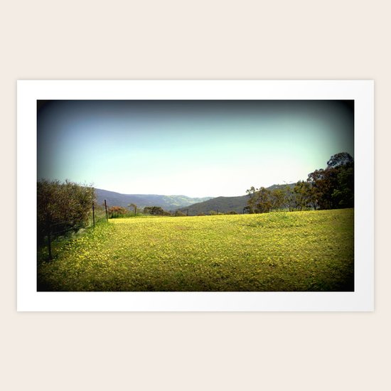 Wildflowers Art Print