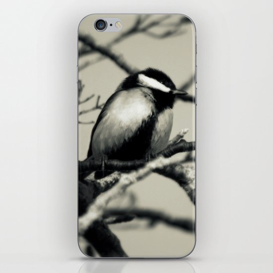 A great view iPhone Skin