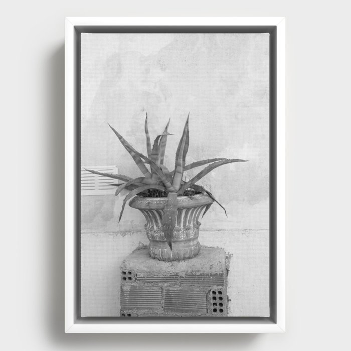 Agave Dream in Athens #2 #minimal #wall #art #society6 Framed Canvas