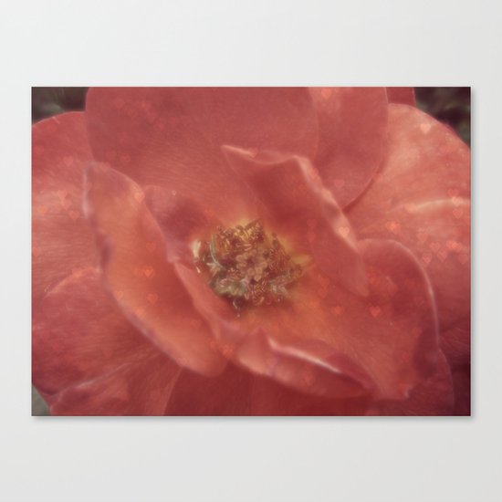 Love Your Guts Canvas Print