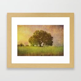Lonely tree.II Framed Art Print