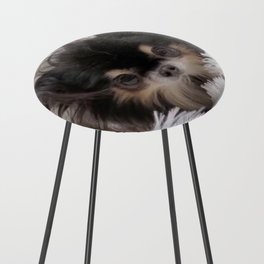 Little And Adorable Black And Beige Doggy Counter Stool