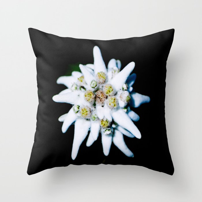 Edelweiss bloom Throw Pillow
