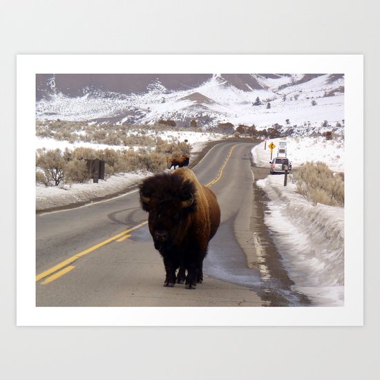 Montana Traffic Jam Art Print