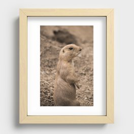 prairie dog #4 Recessed Framed Print