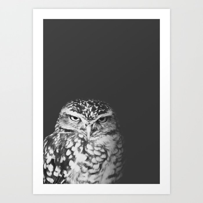 grumpy owl Art Print