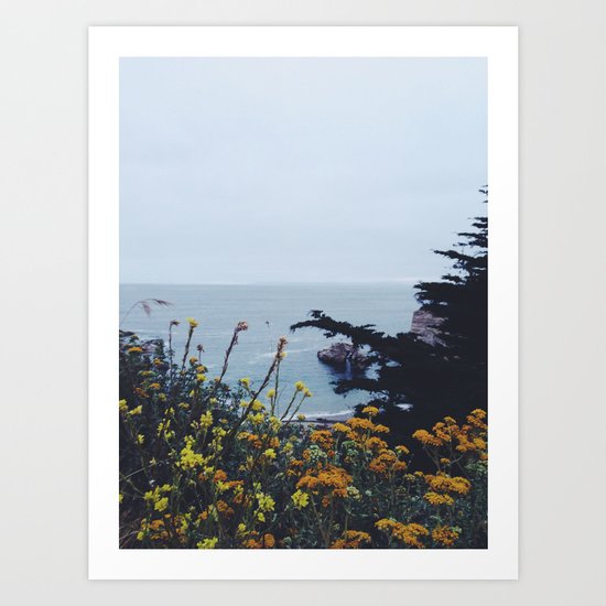 Floral Coast at Dusk Art Print
