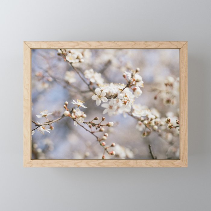 floral composition no. 4 Framed Mini Art Print