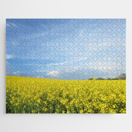  Yellow field of flowering rape - nature landscape photography  Jigsaw Puzzle