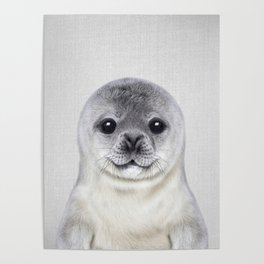 Baby Seal - Colorful Poster