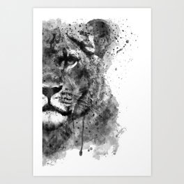 Black And White Half Faced Lioness Art Print