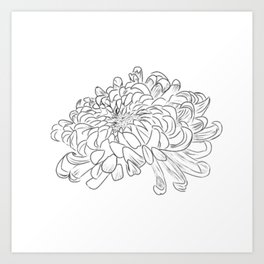 Chrysanthemum Lineart Art Print