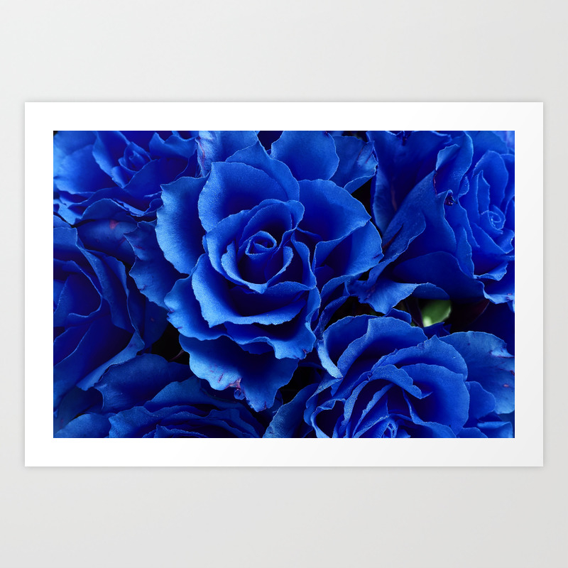 Blue Roses Flowers Plant Romance Art Print By Etnousta Society6