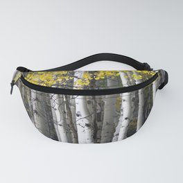Yellow, Black, and White // Aspen Trees in Crested Butte Fanny Pack