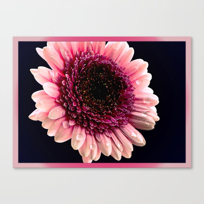 Macro flower Canvas Print