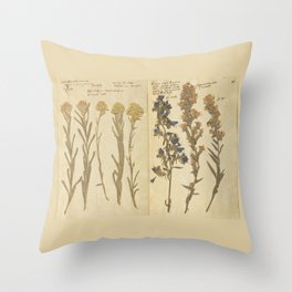 Vintage Herbarium  Throw Pillow