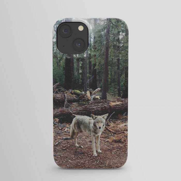 Injured Coyote iPhone Case